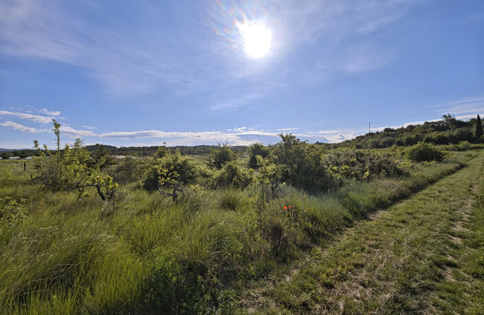 Terrain Agricole — photo 2