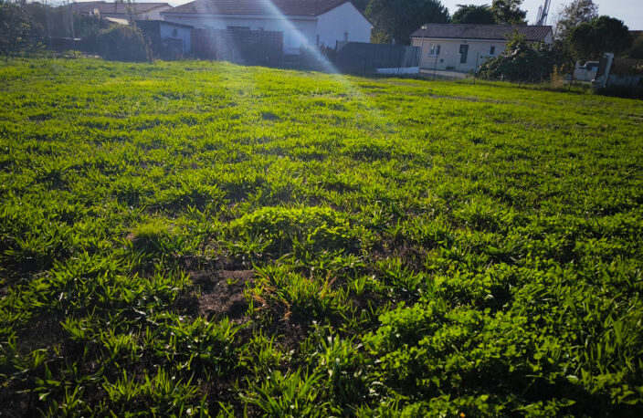 Couffouleux centre ville beau terrain carré au calme de 500 m2 en fonds d'impasse — photo 3