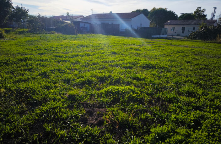 Couffouleux centre ville beau terrain carré au calme de 500 m2 en fonds d'impasse — photo 4