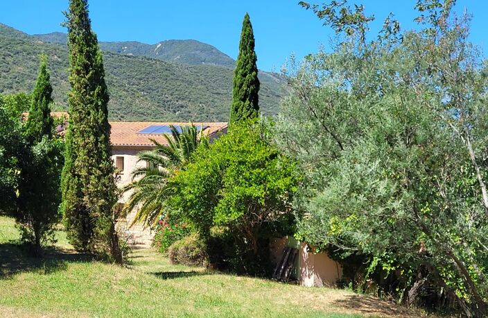 MAGNIFIQUE MAS AVEC GITE ET TERRAIN — photo 3