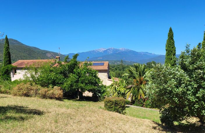 MAGNIFIQUE MAS AVEC GITE ET TERRAIN — photo 4