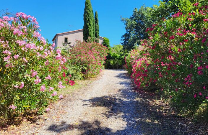 MAGNIFIQUE MAS AVEC GITE ET TERRAIN — photo 5