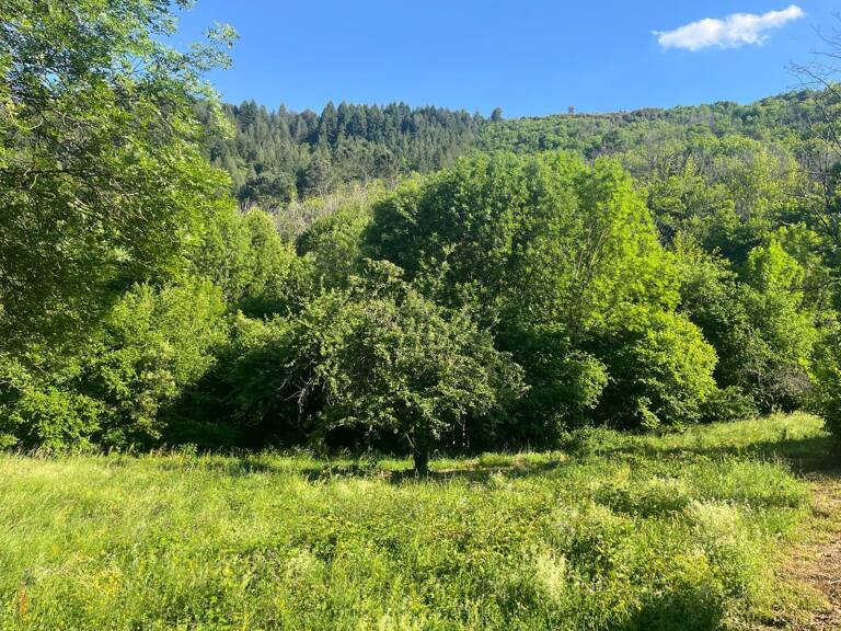 Terrain constructible vallée borgne — photo 1