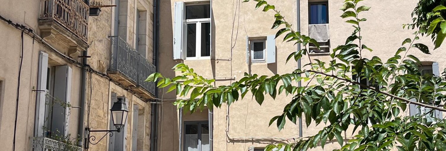 Appartement 1 Pièce 25 m² à vendre à Montpellier (34000)