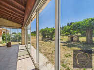 Propriété avec une Maison, un appartement et oliveraie,15 00 — photo 3