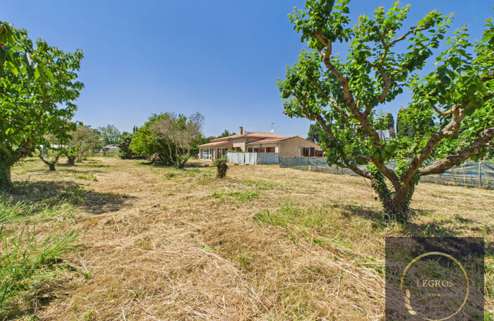 Propriété avec une Maison, un appartement et oliveraie,15 00 — photo 2