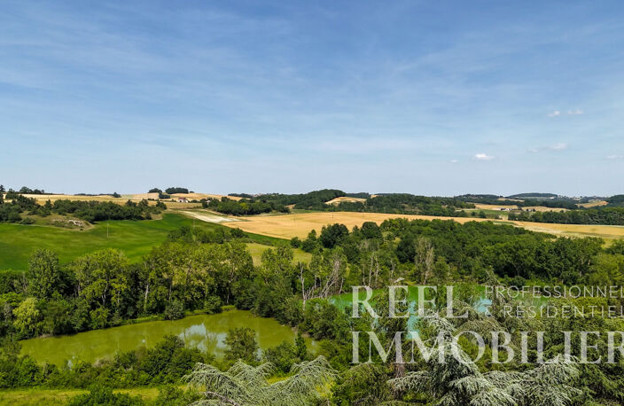 Domaine d'exception avec lacs privés - Deux habitations indépendantes au coeur du Gers, proche Castera-Verduzan — photo 4
