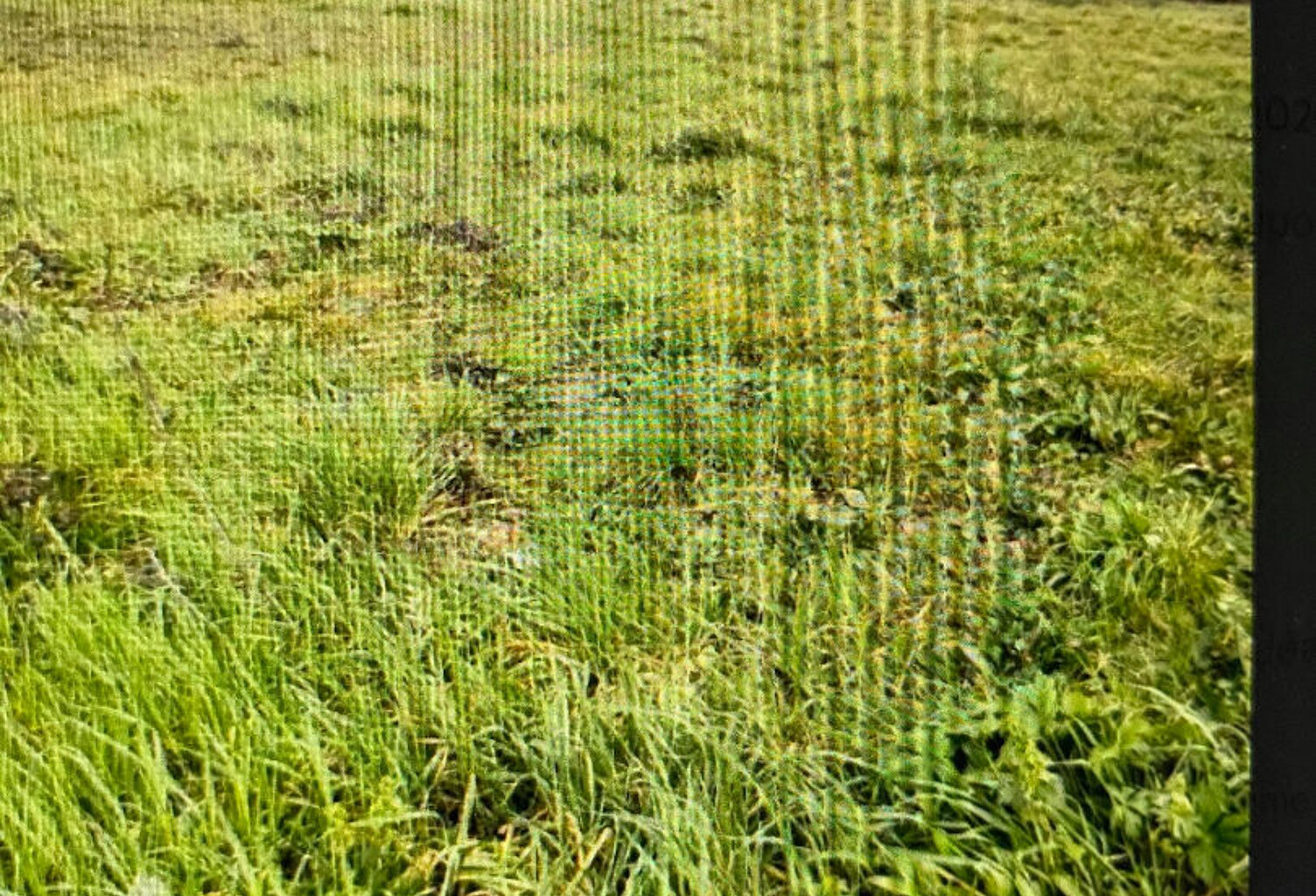 Terrain  agricole A Blaye  A vendre 2 Ha 21a33ca  m2 — photo 1