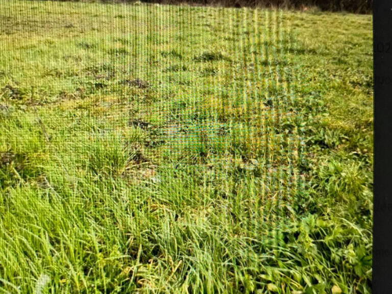 Terrain  agricole A Blaye  A vendre 2 Ha 21a33ca  m2 — photo 1