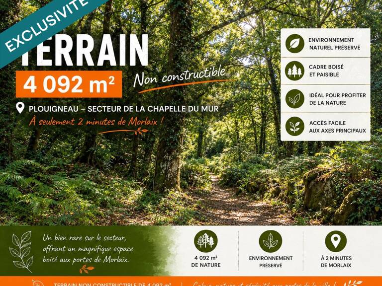 RARE SUR LE SECTEUR  TERRAIN BOISÉ DE 4 092 m² AUX PORTES DE MORLAIX — photo 1