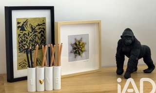 Photo N° 2