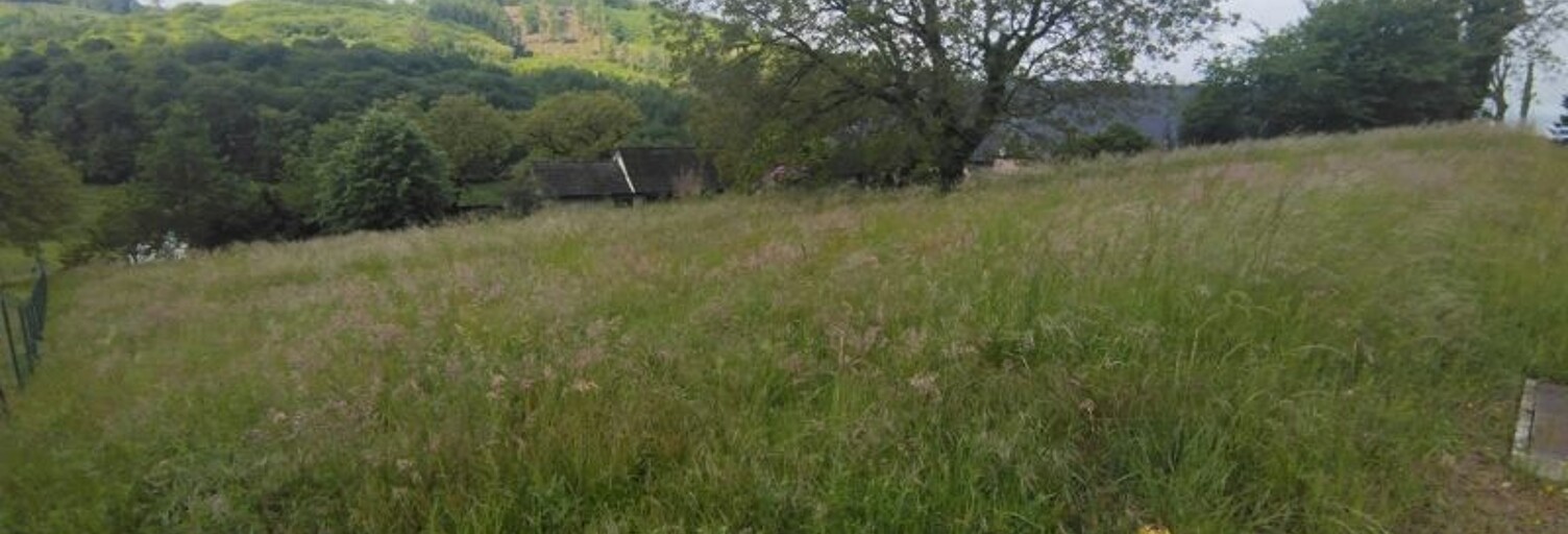 Terrain  2275 m² à vendre à Sainte-Fortunade (19490)