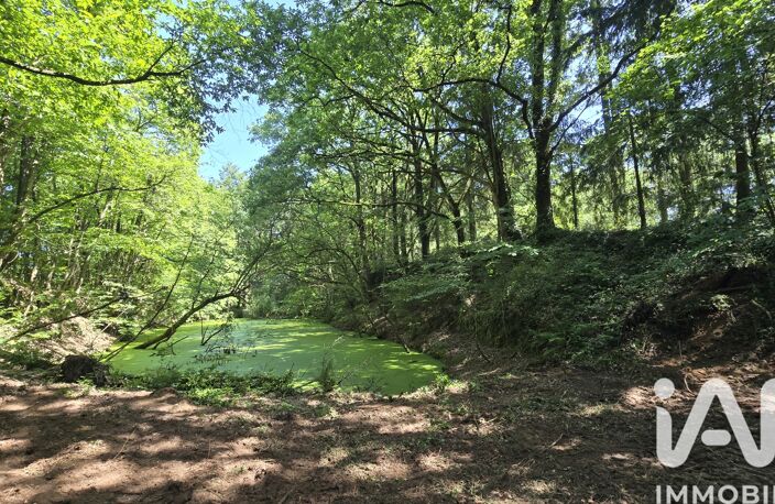 Vente Terrain 14 634 m&sup2; — photo 3