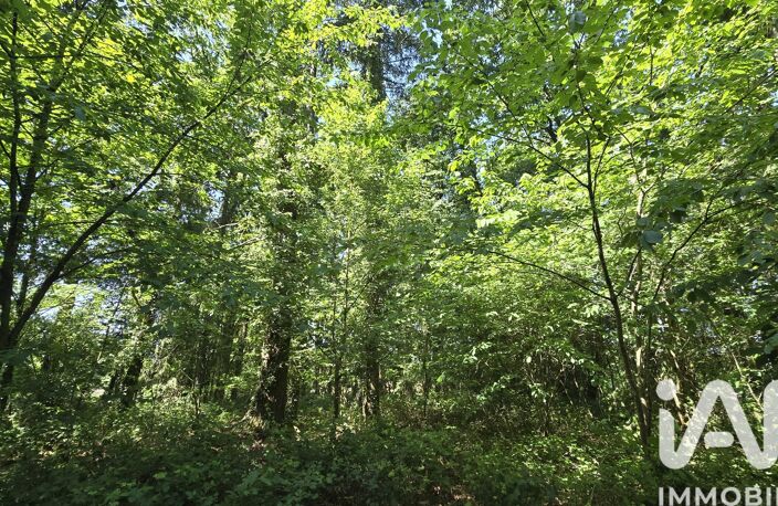 Vente Terrain 14 634 m&sup2; — photo 5