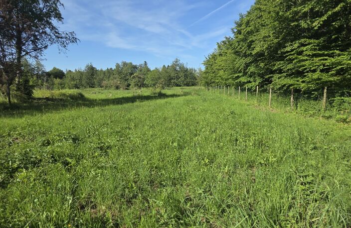 Vente Terrain 1 900 m&sup2; — photo 5