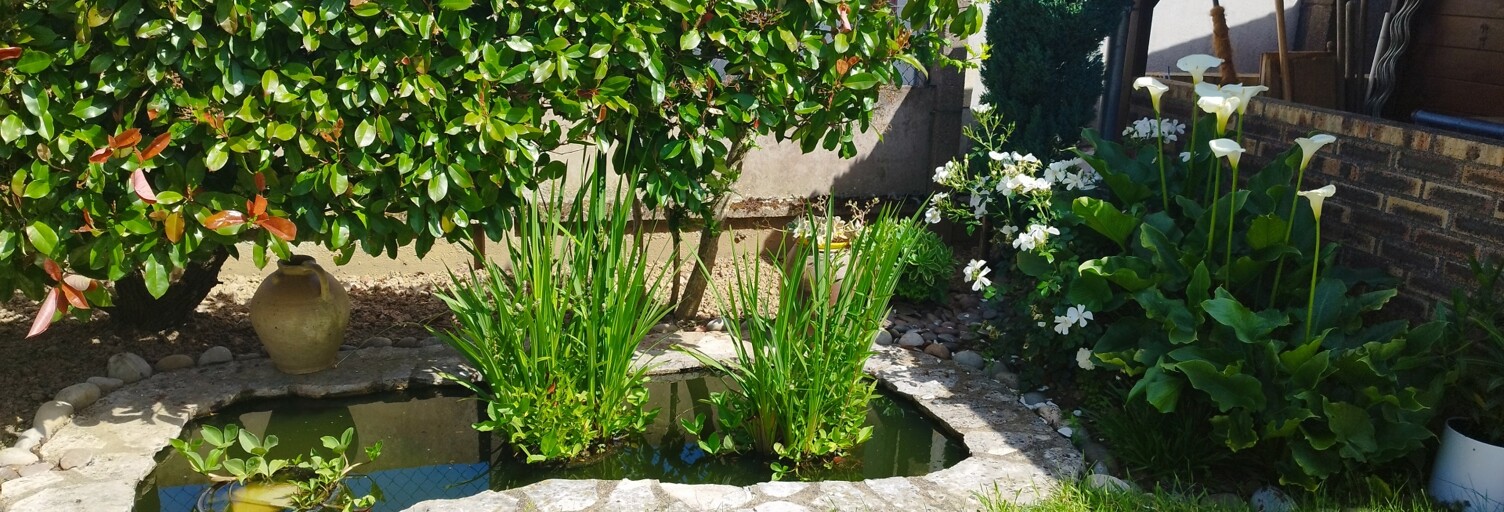 Photo N° 2