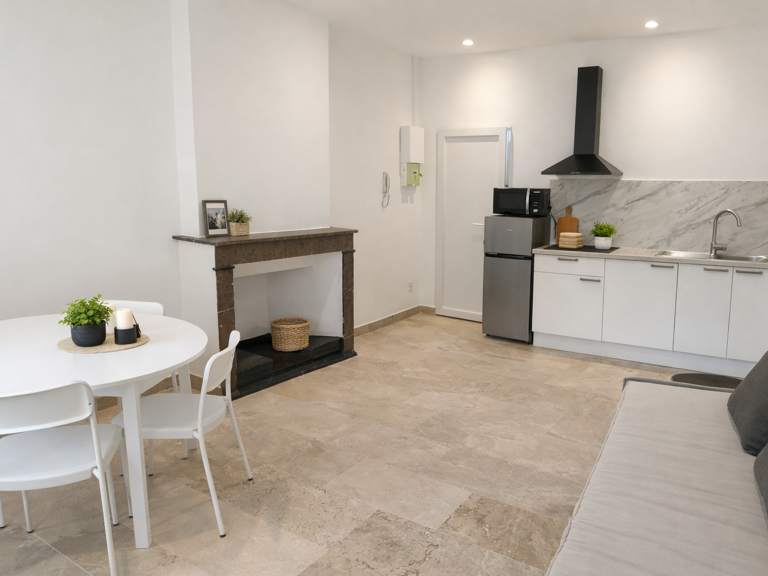 Studio  26 m2 meublé rénové — photo 1