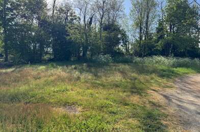 Terrain  49000 €