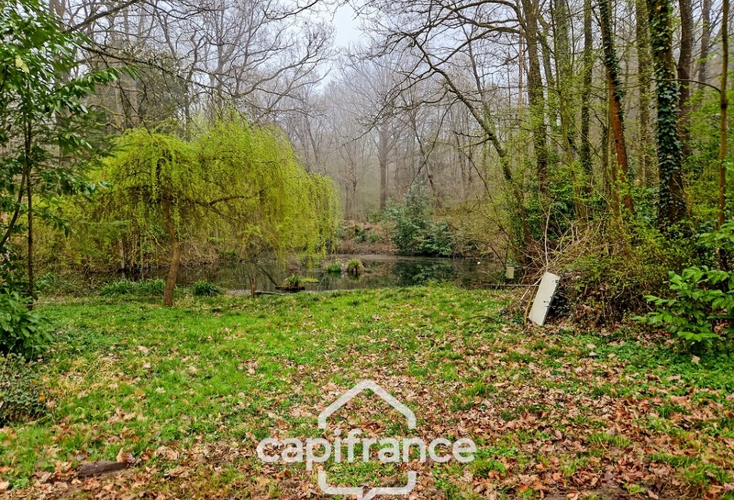 Là où l’eau, la pierre et la forêt se rejoignent, un domaine d’exception s’offre à vous : 9 hectares de nature préservée et de mémoire vivante, à transmettre et à faire revivre — photo 1