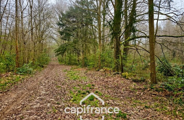 Là où l’eau, la pierre et la forêt se rejoignent, un domaine d’exception s’offre à vous : 9 hectares de nature préservée et de mémoire vivante, à transmettre et à faire revivre — photo 4