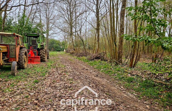 Là où l’eau, la pierre et la forêt se rejoignent, un domaine d’exception s’offre à vous : 9 hectares de nature préservée et de mémoire vivante, à transmettre et à faire revivre — photo 5