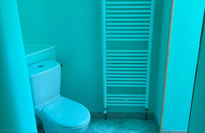 à vendre LOCAL COMMERCIAL AVEC LOGEMENT ET DÉPENDANCES à L'ISLE SUR SEREIN (89) — photo 4