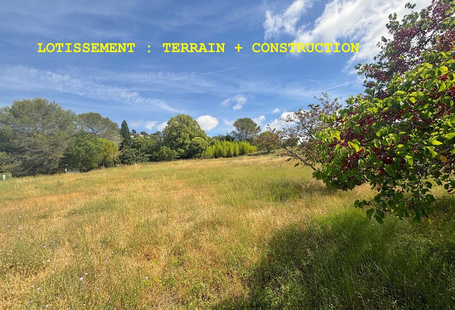 Terrain à vendre  MOUGINS (06) — photo 1