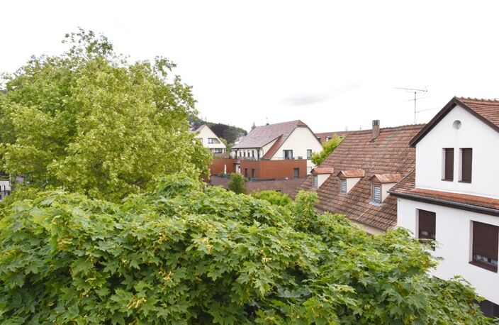 Immeuble à vendre BARR (67) : Immeuble mixte, commerce + logements — photo 3