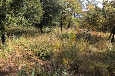 Terrain  175000 €