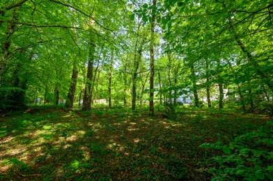 Terrain  30000 €