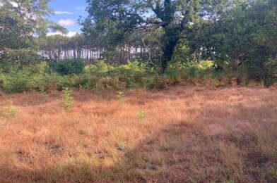 Terrain  140000 €