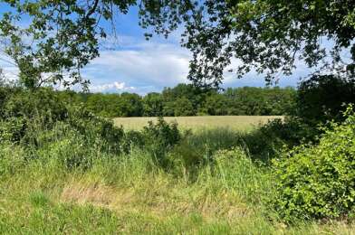 Terrain  98500 €