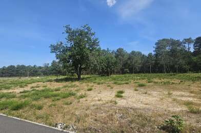 Terrain  198000 €