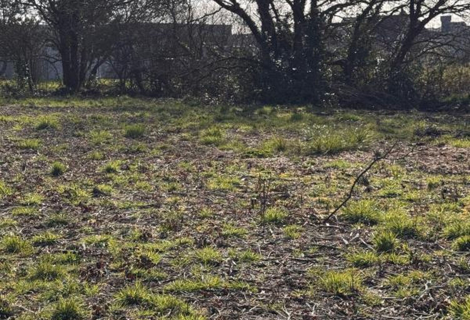 Terrain viabilisé  411 m² Lot 6 — photo 1