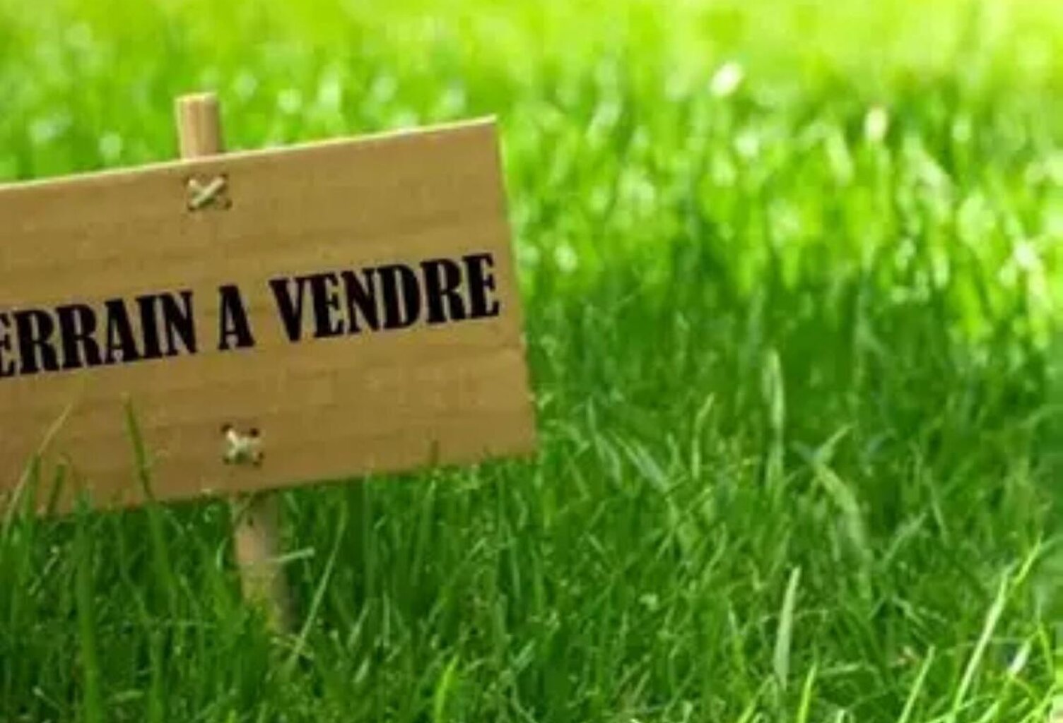 Terrain Evry Gregy Sur Yerre 1155 m2 — photo 1