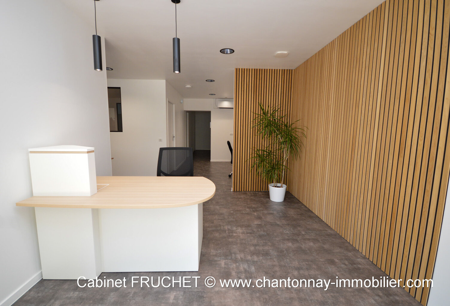 CHANTONNAY - Beau local professionnel — photo 1