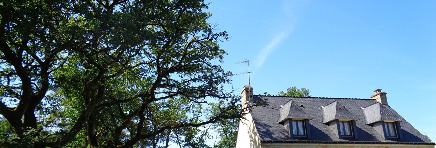 Maison 7 Pièces 129 m² à vendre à Plumelec (56420)