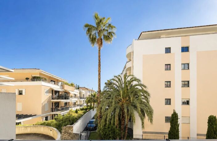 Cannes Palm Beach – Appartement - Studio rénové avec terrasse — photo 2