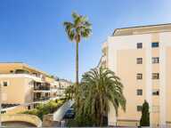 Cannes Palm Beach – Appartement - Studio rénové avec terrasse — photo 2