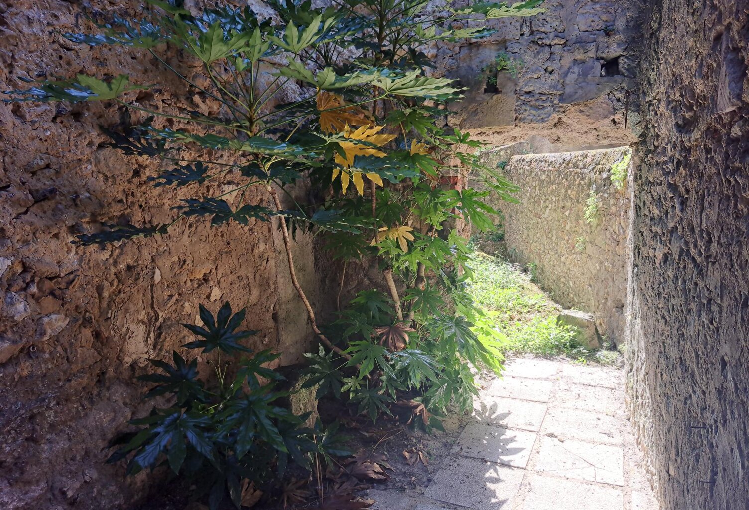 Ensemble immobilier — photo 1
