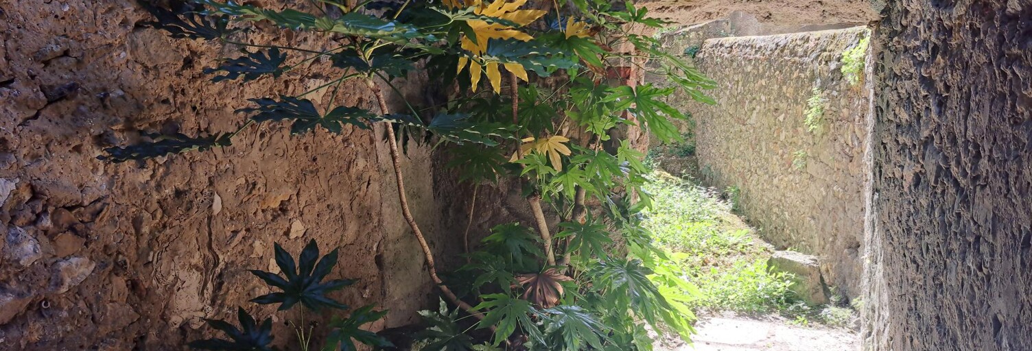 Maison 8 Pièces 176 m² à vendre à Roquefort (40120)