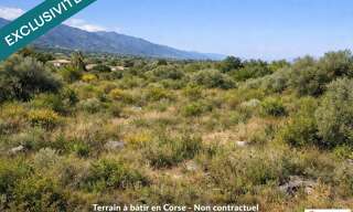 Terrain  2145 m² à vendre à Poggio-Mezzana (20230)