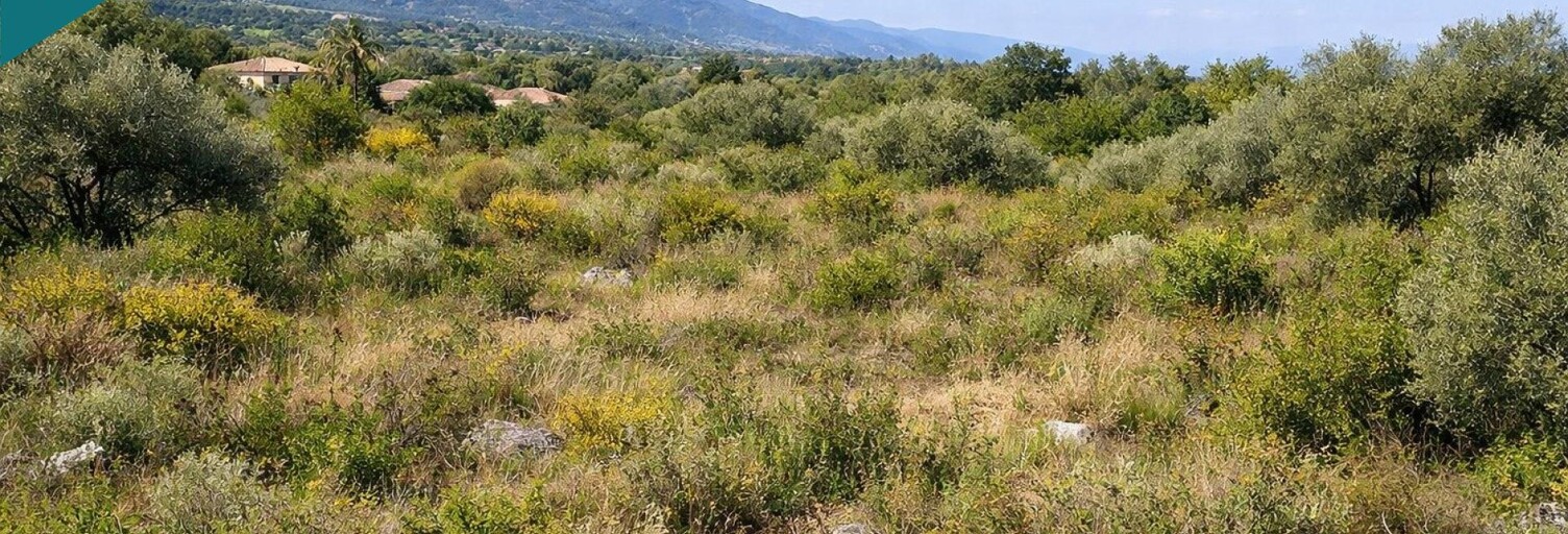 Terrain  2145 m² à vendre à Poggio-Mezzana (20230)