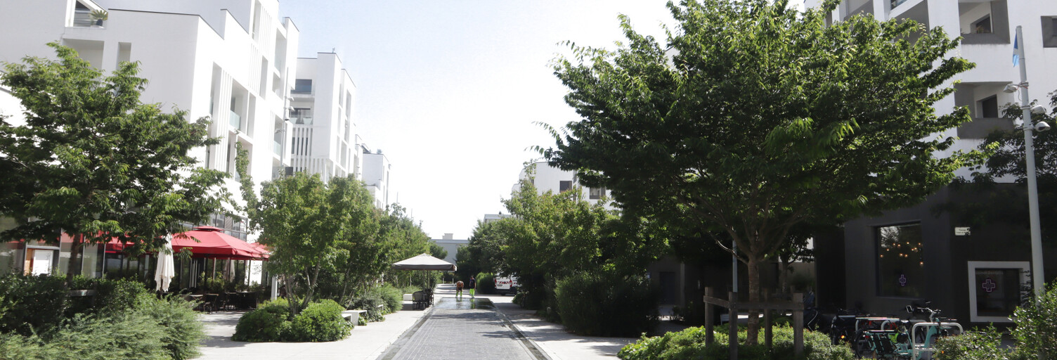 Photo N° 2