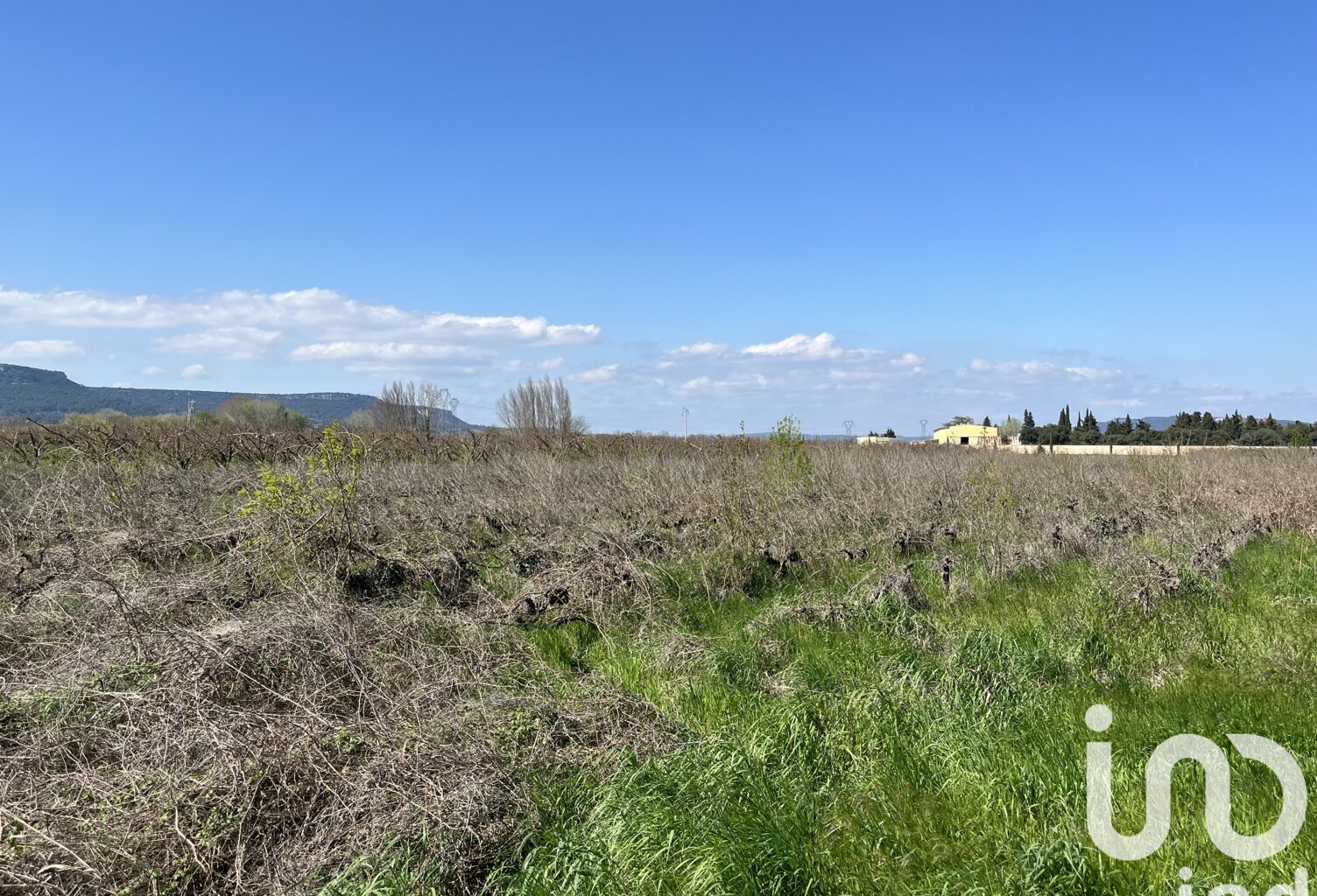 Vente Terrain agricole 6 585 m&sup2; — photo 1