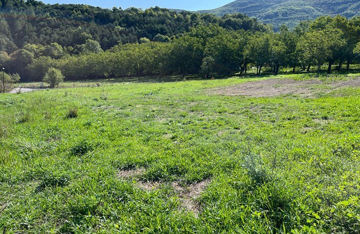 5 Terrains Saint Etienne Le Laus — photo 2