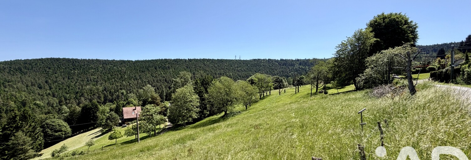 Terrain  2700 m² à vendre à Dabo (57850)