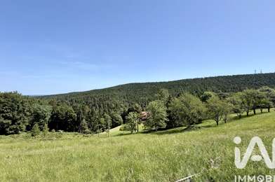 Terrain  39000 €