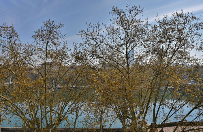 Élégant appartement climatisé avec vue dégagée sur le Rhône — photo 5