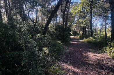 Terrain  25500 €